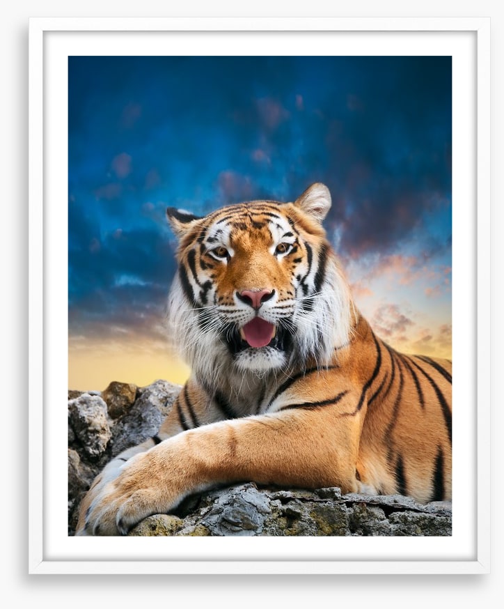 Don't mess with the tigress