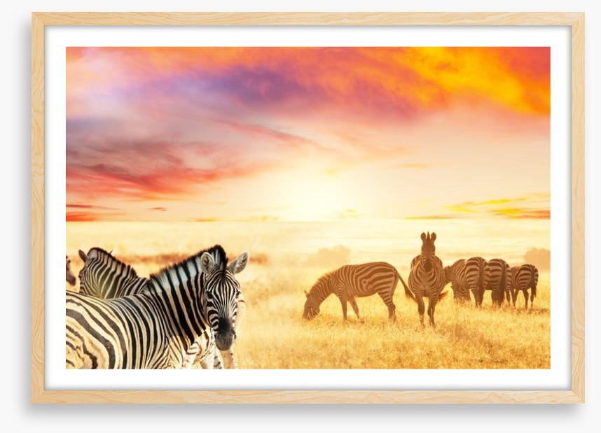 Serengeti stripes