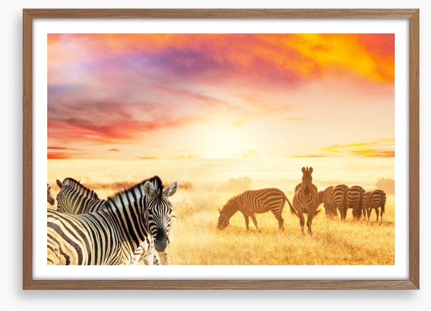 Serengeti stripes