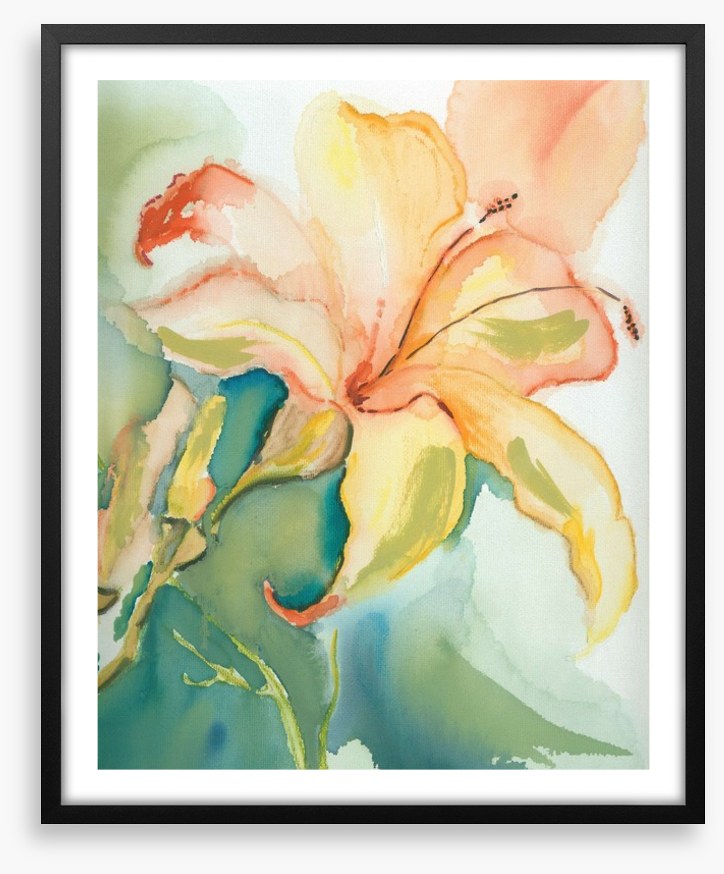 Lily of the garden