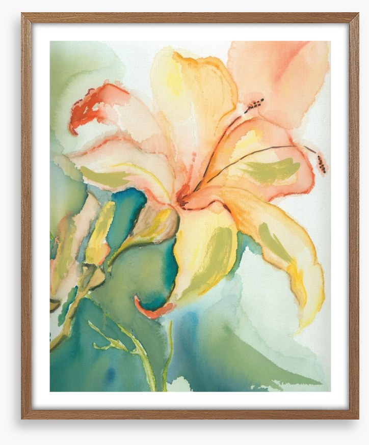 Lily of the garden