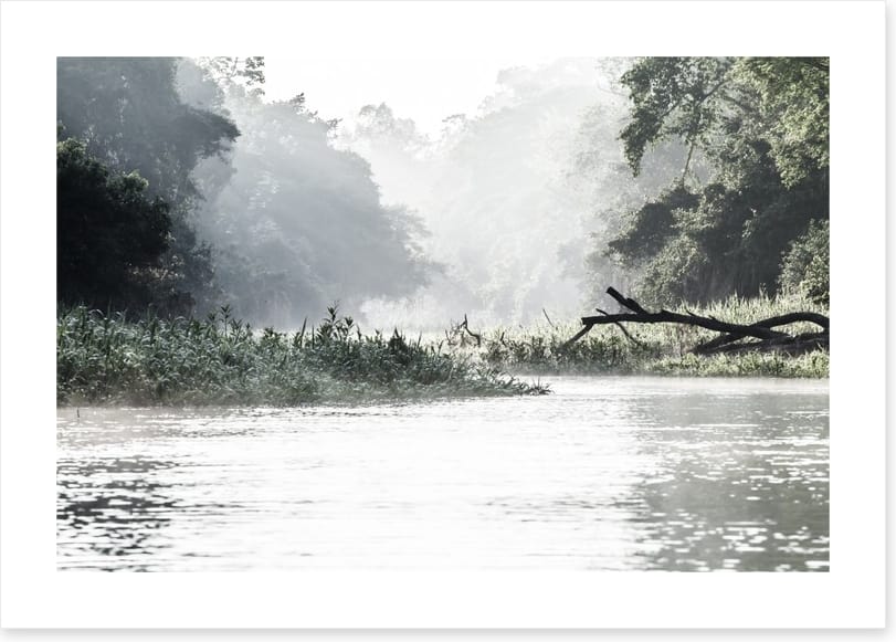 Rivers