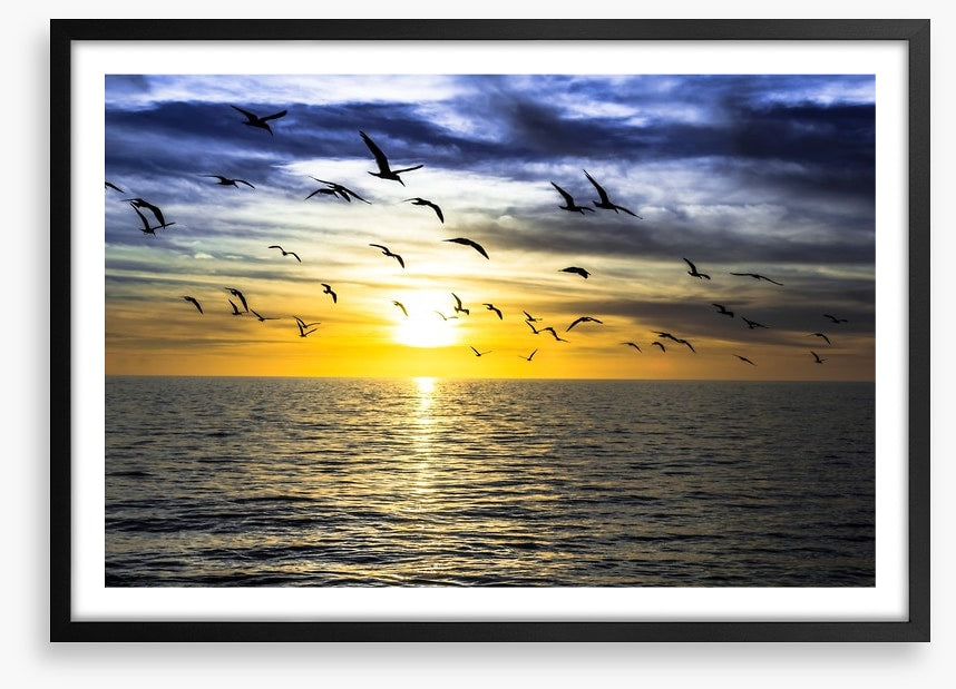 Gulls on the horizon