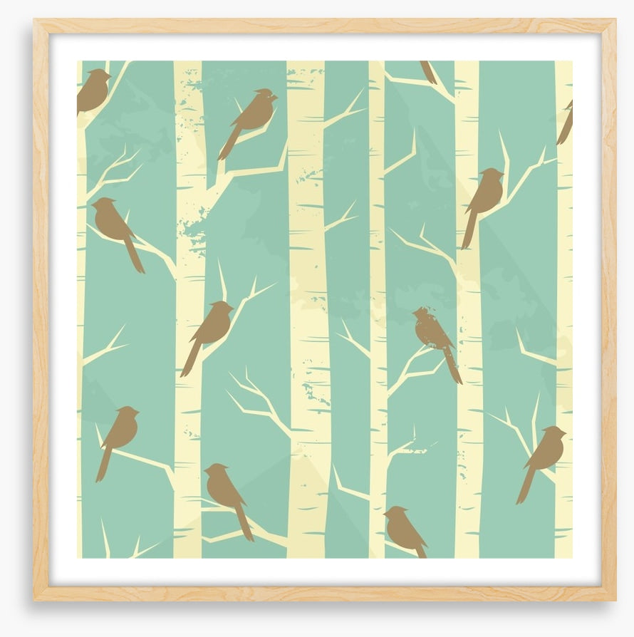 Birch and birds