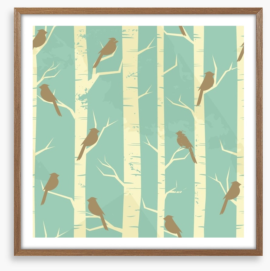 Birch and birds