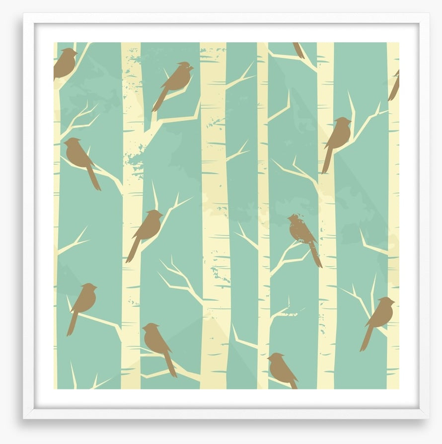 Birch and birds
