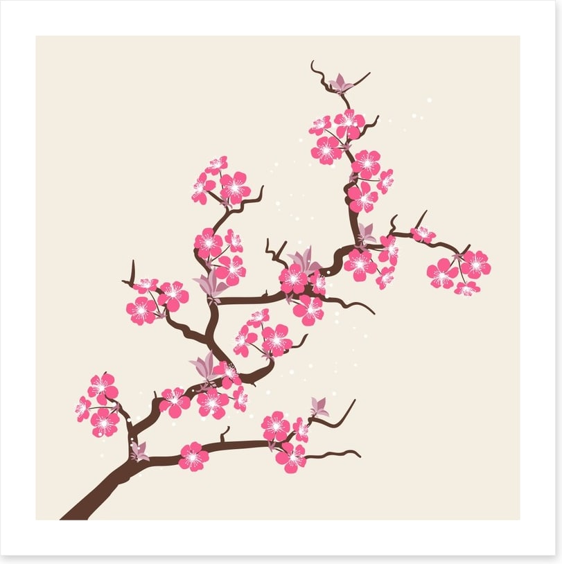 Cherry pink blossom