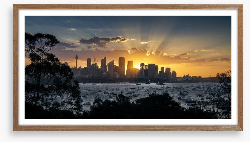 Spectacular sunset over Sydney city