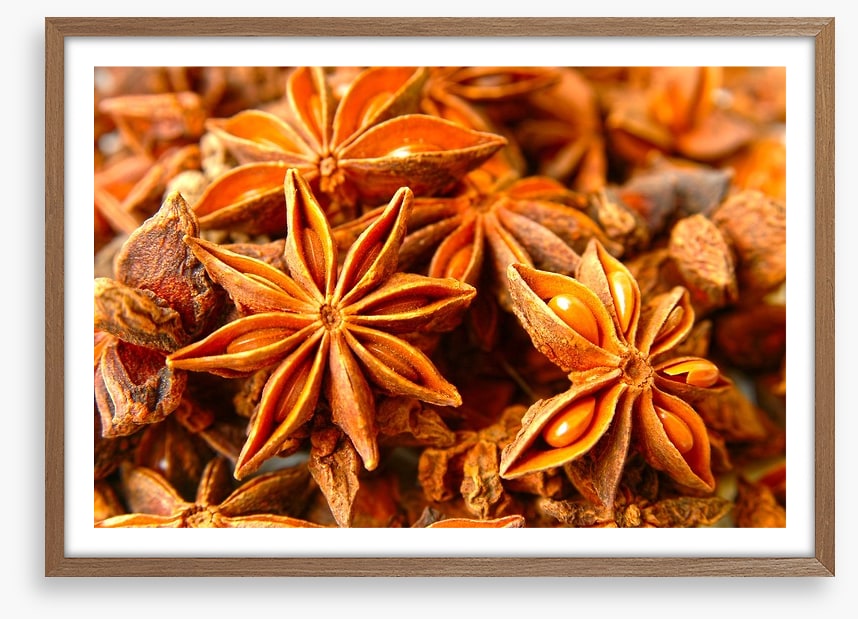Stars of anise