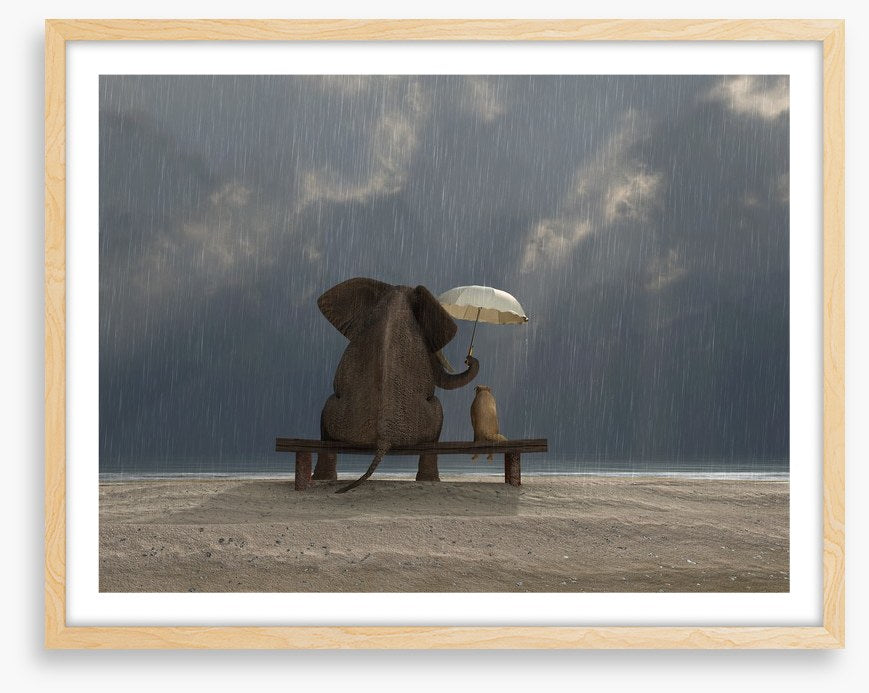 Together in the rain