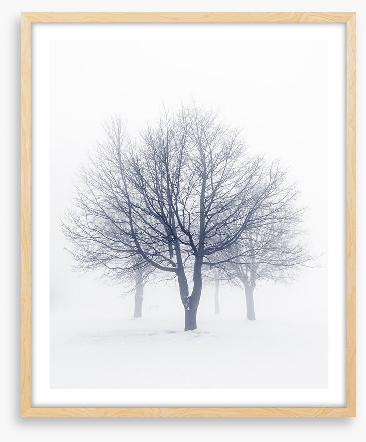 Bones of the boughs