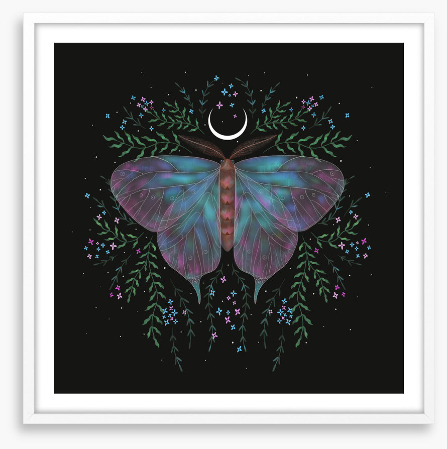 Moonlight moth