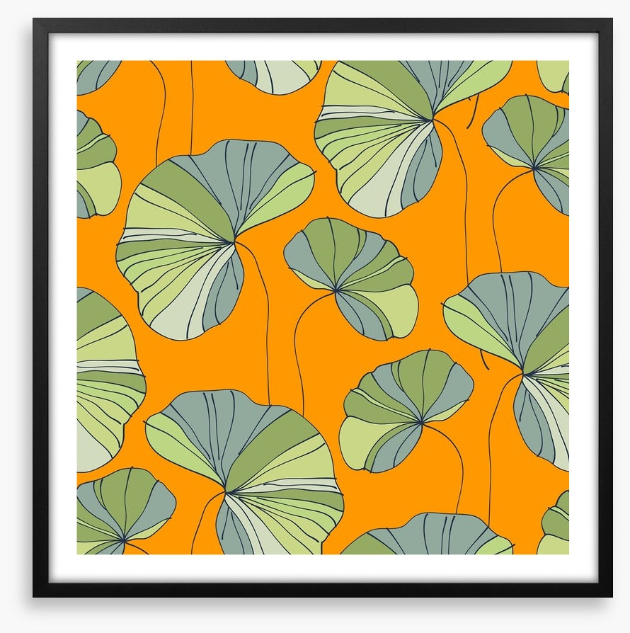 Water lily leaves