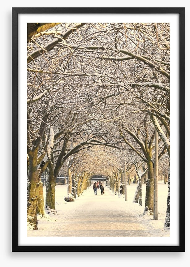 Winter pathway