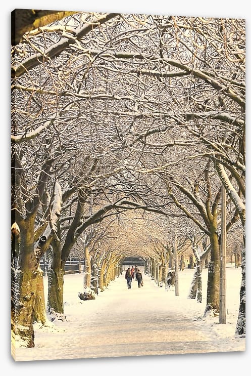 Winter pathway