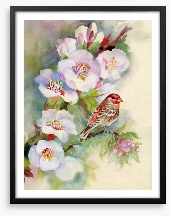 Apple blossom bird