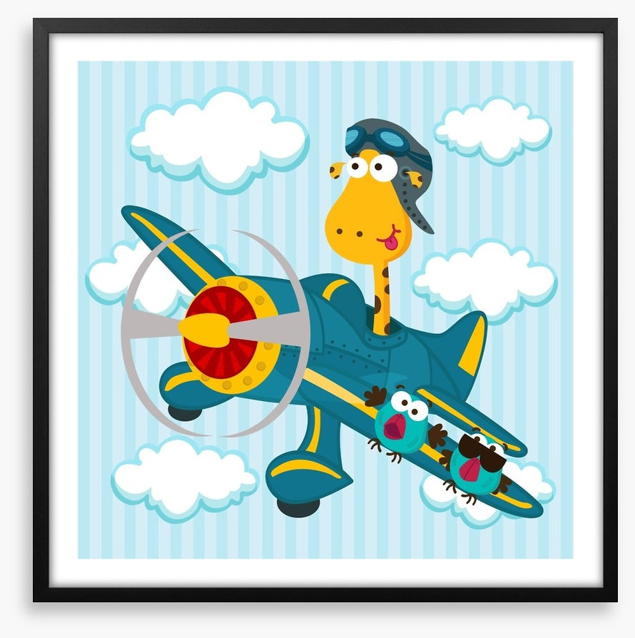 Pilot giraffe