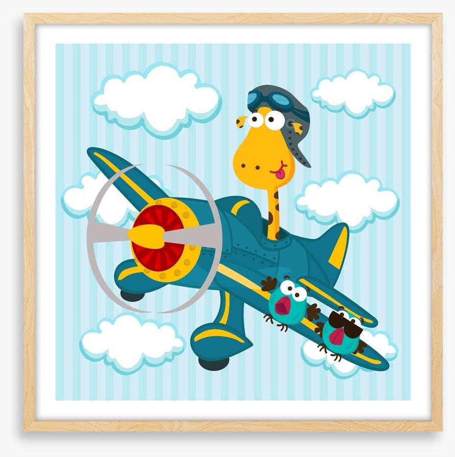 Pilot giraffe