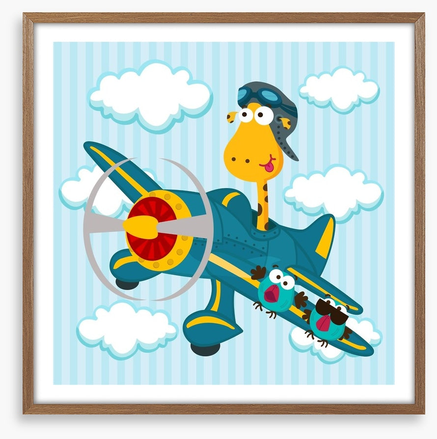 Pilot giraffe