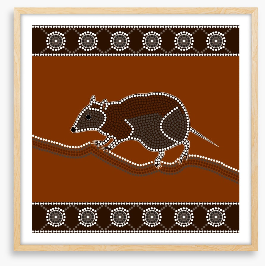 Musky rat-kangaroo