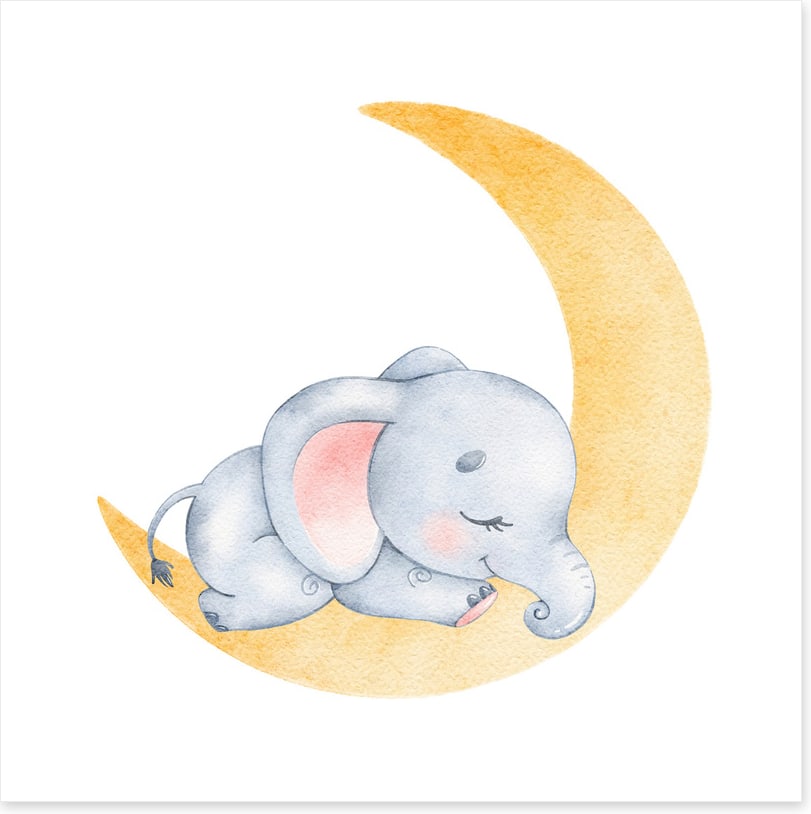 Elephant moon