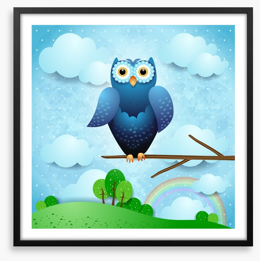 Owls