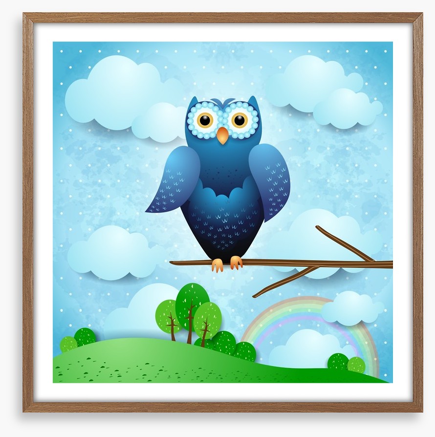 Owls