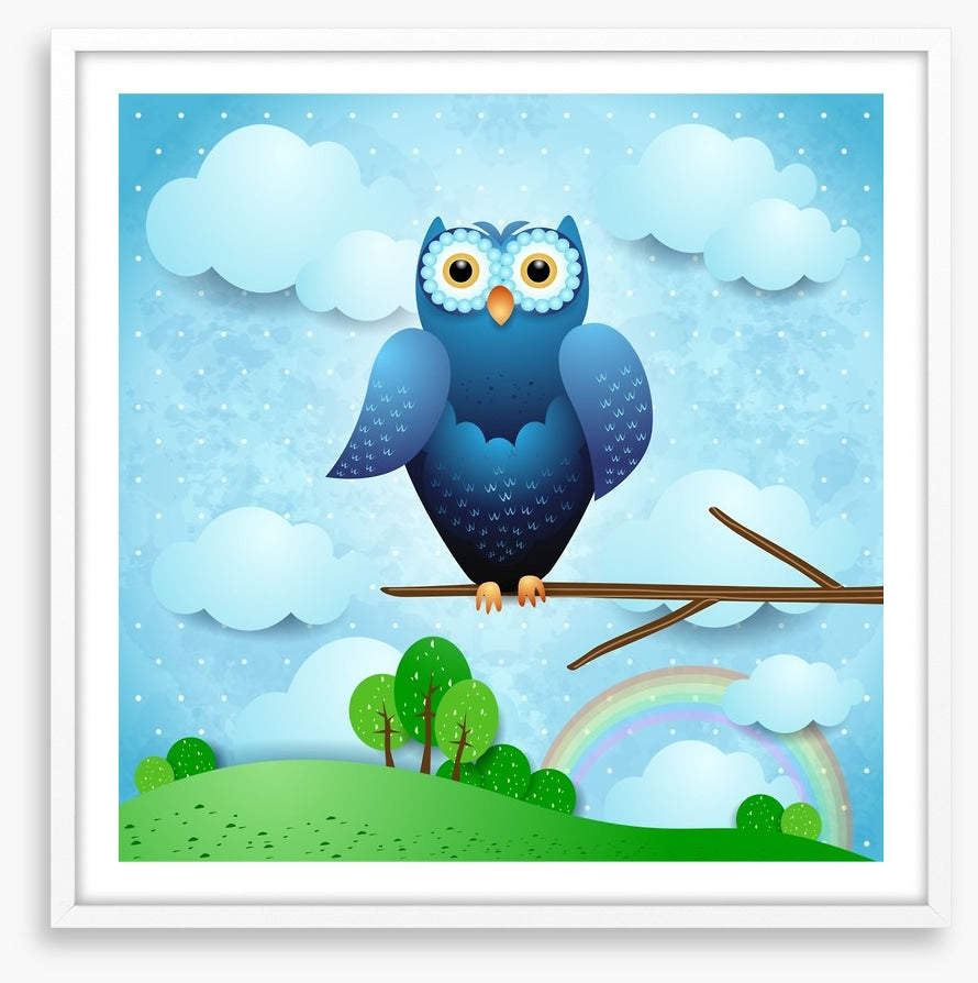 Owls
