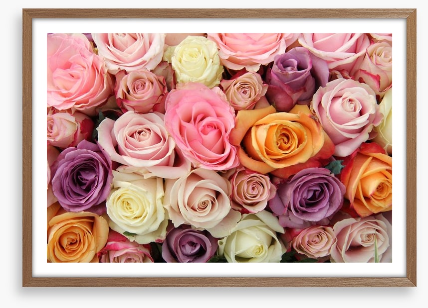 Mixed pastel roses