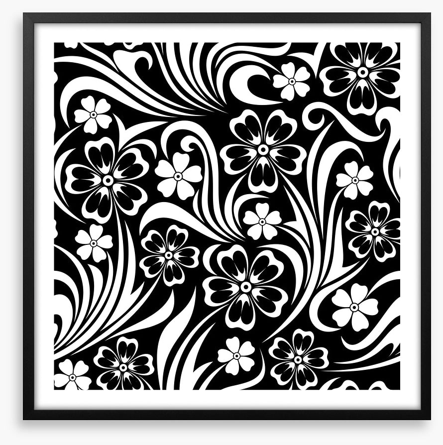 Black and White