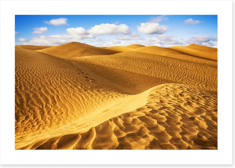 Desert