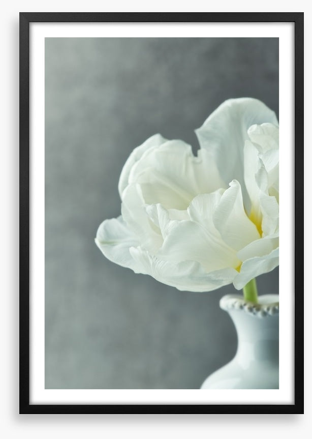 Fragile simplicity
