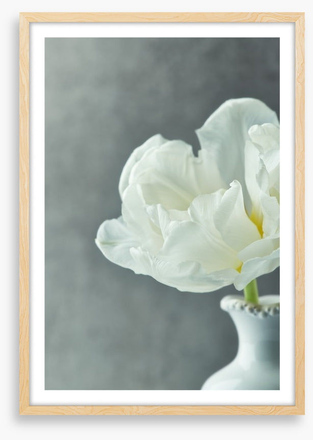 Fragile simplicity