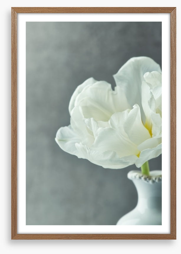 Fragile simplicity