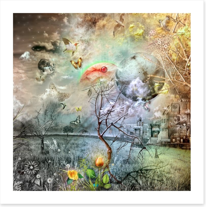 Wonderland of the golden tulip