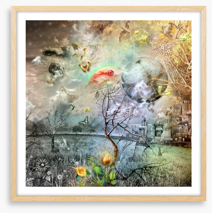 Wonderland of the golden tulip