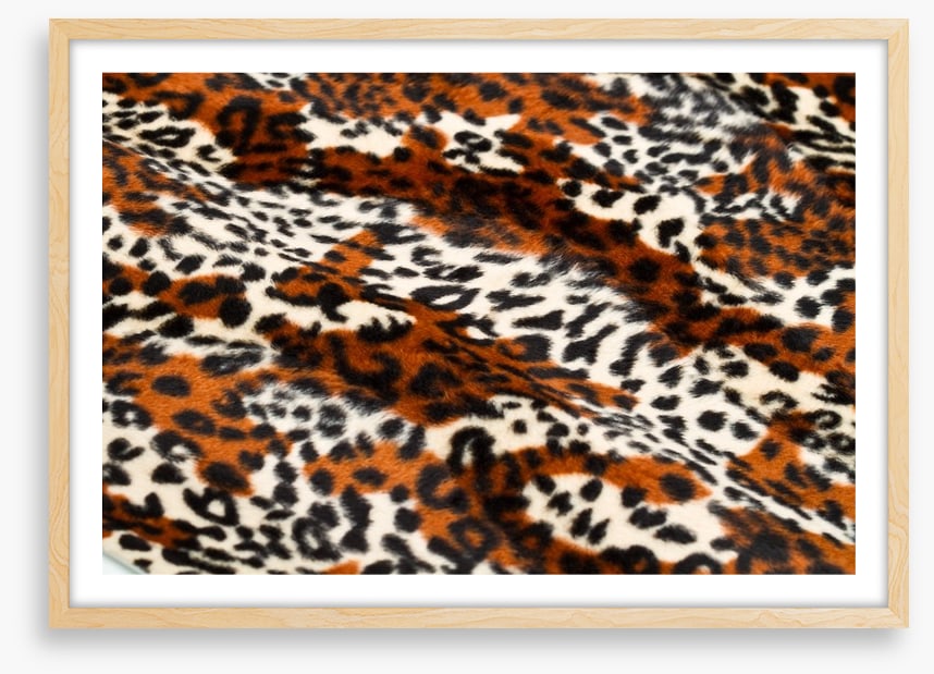 Animal Print