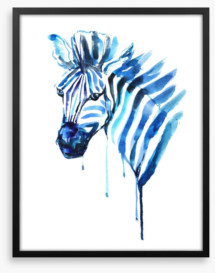 Blue zebra