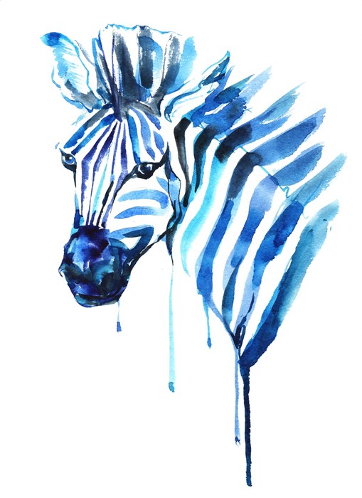 Blue zebra