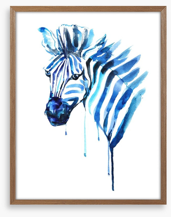 Blue zebra
