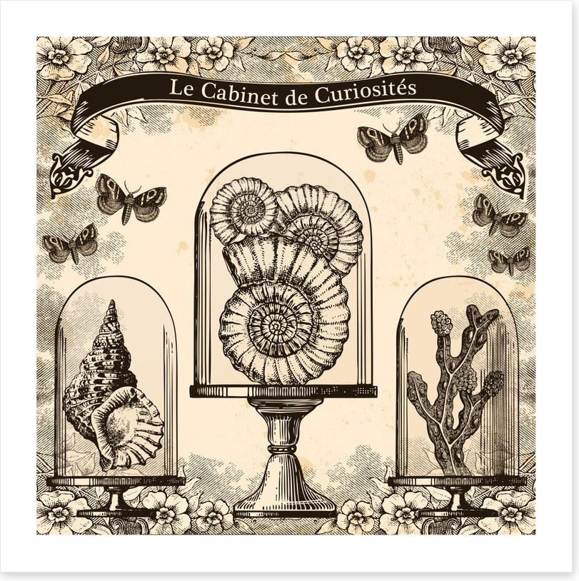 Cabinet de curiosites