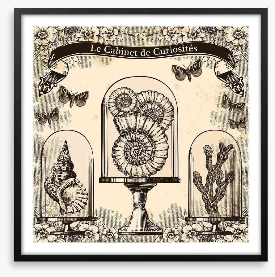 Cabinet de curiosites