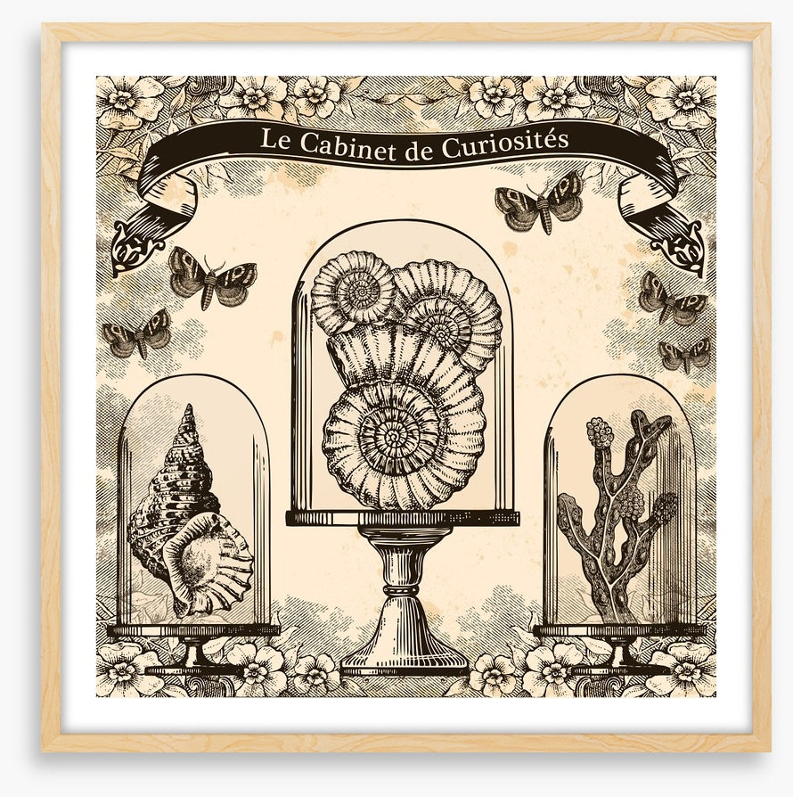 Cabinet de curiosites