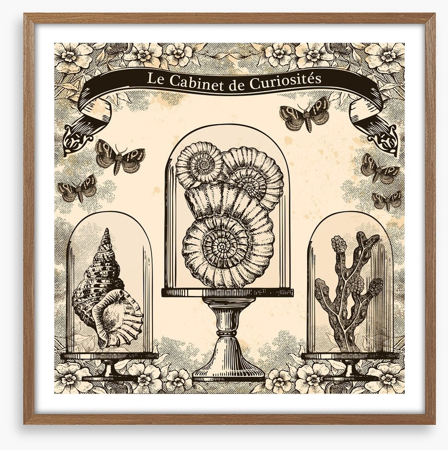 Cabinet de curiosites