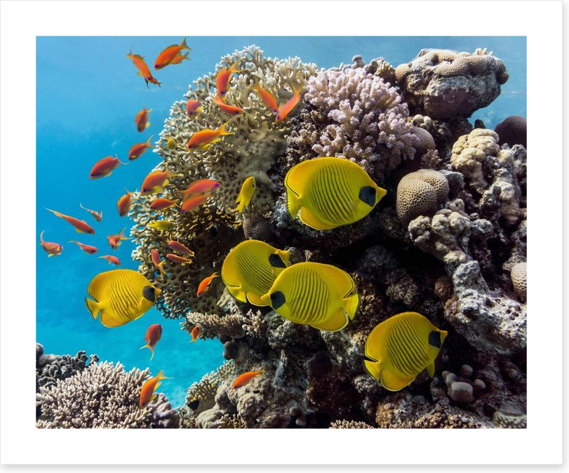 Underwater