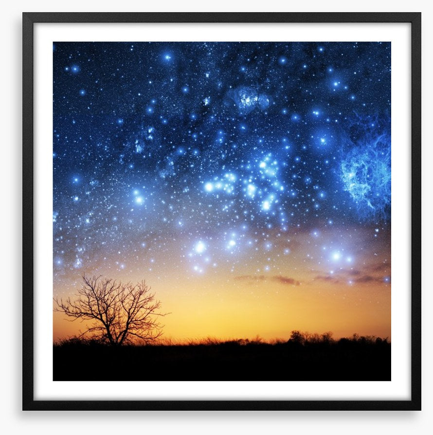 The night sky tree