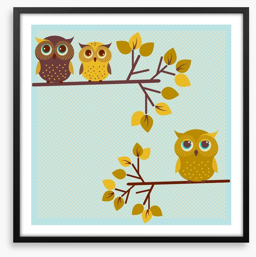 Owls