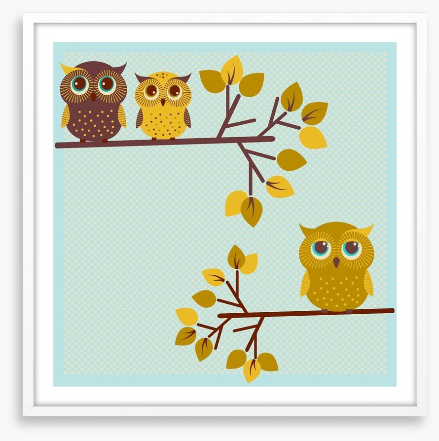 Owls
