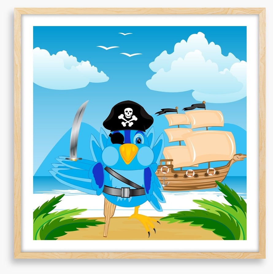 Pirates