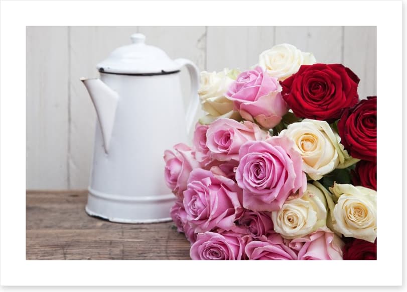 Romantic roses